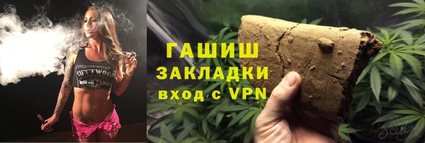 индика Балахна