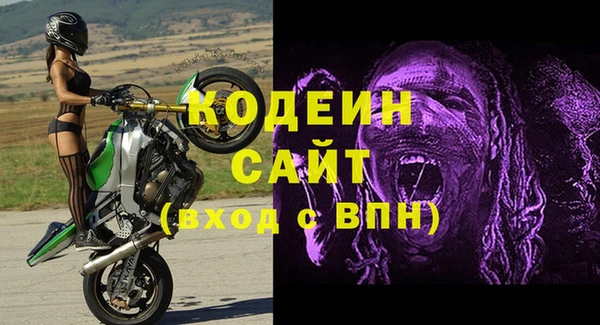 индика Балахна