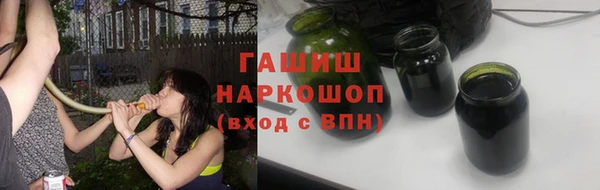 индика Балахна