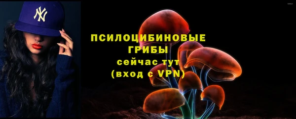 индика Балахна