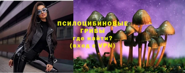индика Балахна